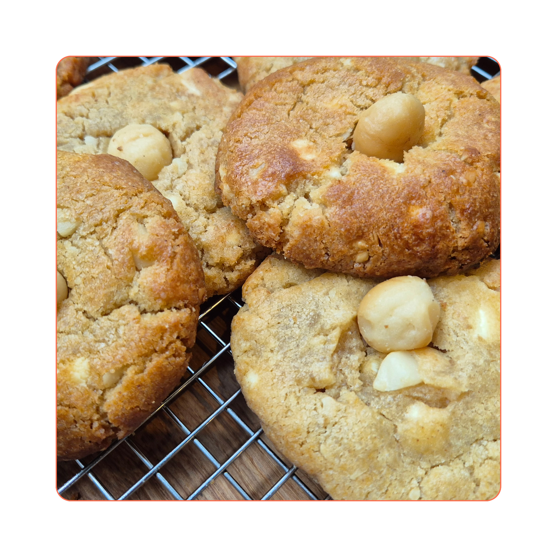 Macadamia & Witte Chocolade Koekje